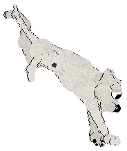 Ephemera Morning Mr Magpie — “Early”