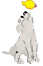 Ephemera Morning Mr Magpie — “Early”