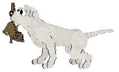 Ephemera Morning Mr Magpie — “Early”