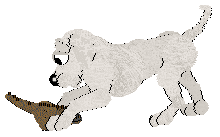 Ephemera Morning Mr Magpie — “Early”