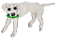 Ephemera Morning Mr Magpie — “Early”