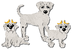 Profile image of Ephemera Morning Mr Magpie