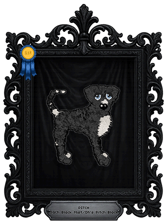 Profile image of Black Mist/Dh's Pitch Black