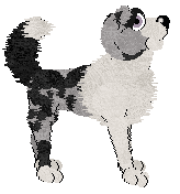 Spellbound/Dh's Lilac Moonrise — “Crescent”