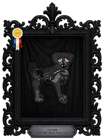 Profile image of FDL/Dh's Silver Sin