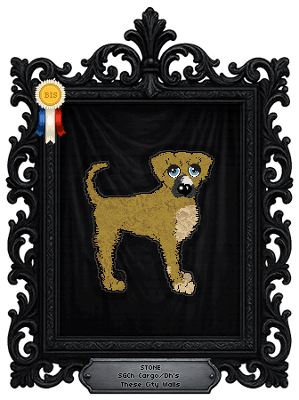 Profile image of Cargo/Dh's These City Walls