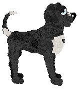 NB/Dh's Winter Hunger — “Donner”