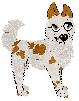 Pachelbel's Something Wicked — “Bewitched”