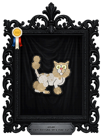 Profile image of Perfume/Dh's Pale Sun