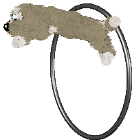 Dh's Long Road Home — “Baxter”