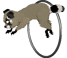 Hextraordinary/Dh's Bin Bandit — “Bruiser”