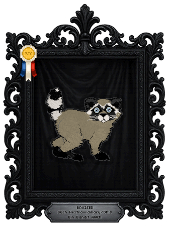 Profile image of Hextraordinary/Dh's Bin Bandit