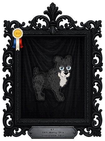 Profile image of Abeny/Dh's Interstellar Idiot