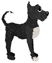 Dh's Fallen From Grace — “Riven”