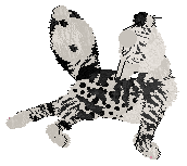 HK/Dh's Silken Indulgence — “Yoplait”