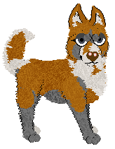 Profile image of Pachelbel's Crocodile Rock