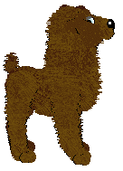 Meomi's Llama Pajama at Mythic Silence — “Brock”