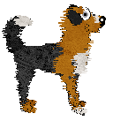 Sz/Poppyhill's Good Gourd — “Casperita”