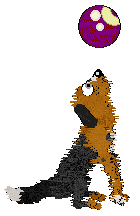 Sz/Poppyhill's Good Gourd — “Casperita”