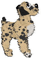 Profile image of Witz/Poppyhill's Save a Horse