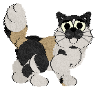 Cargo/Calluna's Little Bohemia — “Lester”