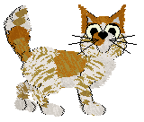 Calluna's Orange You Glad — “Mandarin”