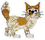 Calluna's Orange You Glad — “Mandarin”