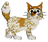 Calluna's Orange You Glad — “Mandarin”