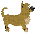 Poppyhill's Moscow Mule — “Moscow”