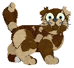 Lex's Fuego at Wild Road — “Shallot”