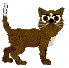 LiliPad's Purrnest Hemmingway at Wild Road — “Purrnest Hemmingway”