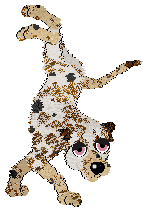 M_M's The Girl In The Corner, Let No One Ignore Her — “Ballroom Blitz”