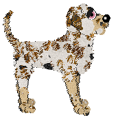 M_M's The Girl In The Corner, Let No One Ignore Her — “Ballroom Blitz”