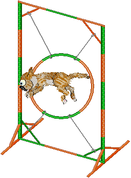Calluna's No Bark All Bite — “Basenji”