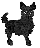 Lex/Mockingbird's Used To Be On Fire — “Cryptic”