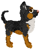 Profile image of Ferality/Pachelbel's Beyond The Pale