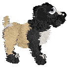 Poppyhill/FDL's Vicomte de l’Opéra — “Chagny”