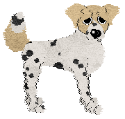 Cirrutopia's To The Max — “Xtreme”