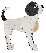 Cirrutopia's This Bliss This Bliss — “Bli”