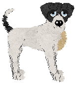 Cirrutopia's This Bliss This Bliss — “Bli”