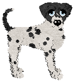 Cirrutopia's Reel Time Problem — “Tamlindy”