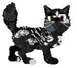 Perfume/Tangled's Ahead of Her Times — “Avant”