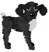 Charmme/Tangled's Agree to Disagree — “Arguement”