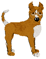 Dandy/Tangled's Under My Spell — “Bewitched”