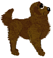 Profile image of MB/Tangled's First Day of Every Month