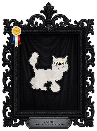 Profile image of Dh's Snowdrift Star