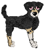 MB/Dh's Desert Rose — “Rose”