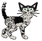 Profile image of Calluna's Juniperus Blue Star