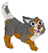 Profile image of Vanilla/Pachelbel's The Reverse Gator