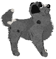 Cirrutopia's Turn Up the Volume at Vanilla — “Barkley”